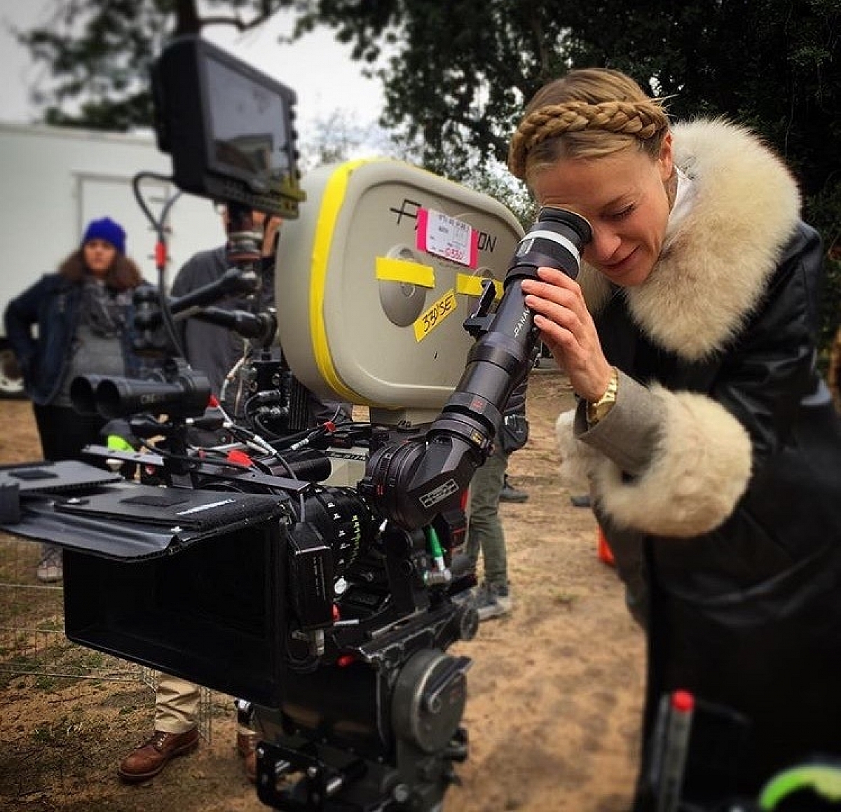 The accountant nocturnal animals and kitty 7