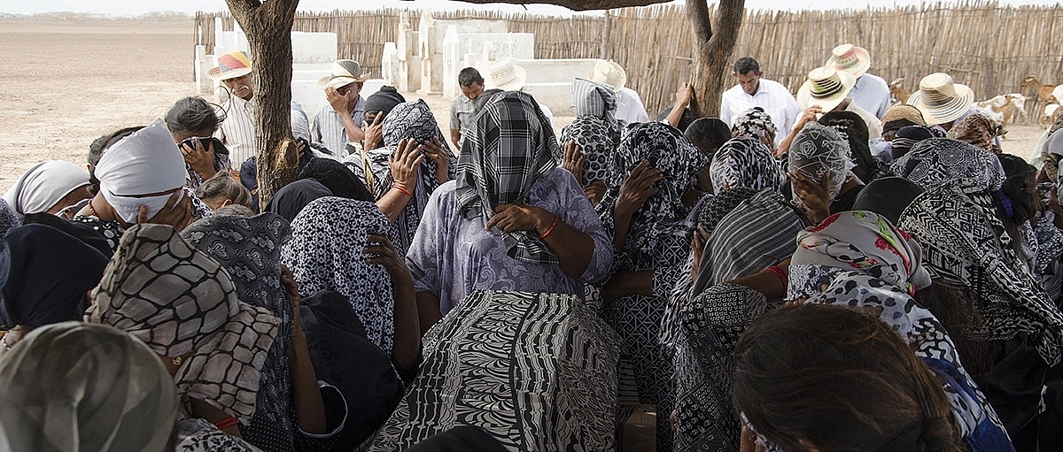 Pájaros de Verano 2
