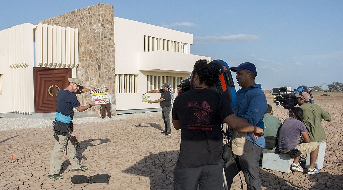 Pájaros de Verano 4