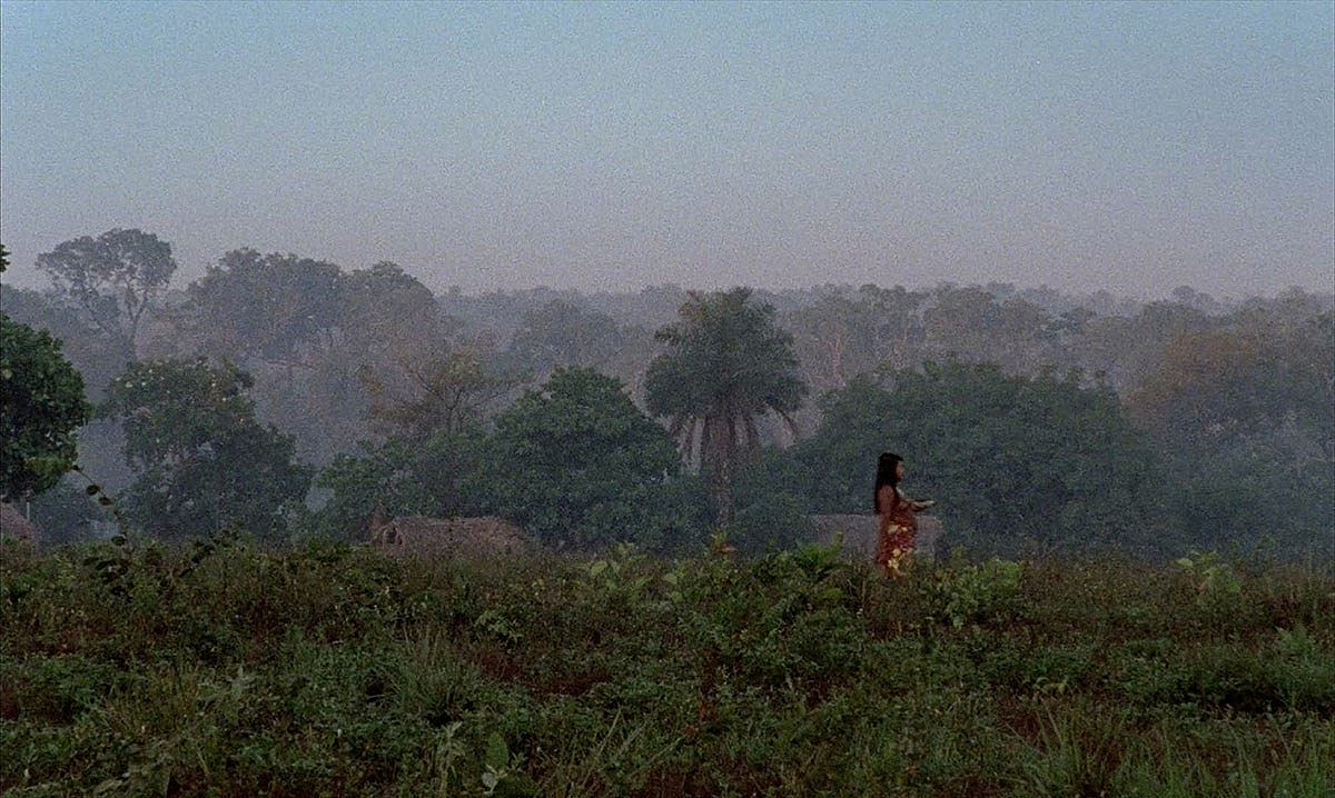 Chuva é cantoria na aldeia dos mortos 7