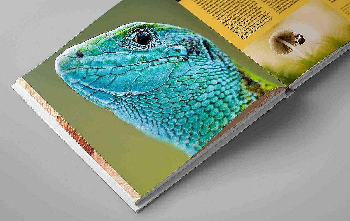 Nature book hard cover mock