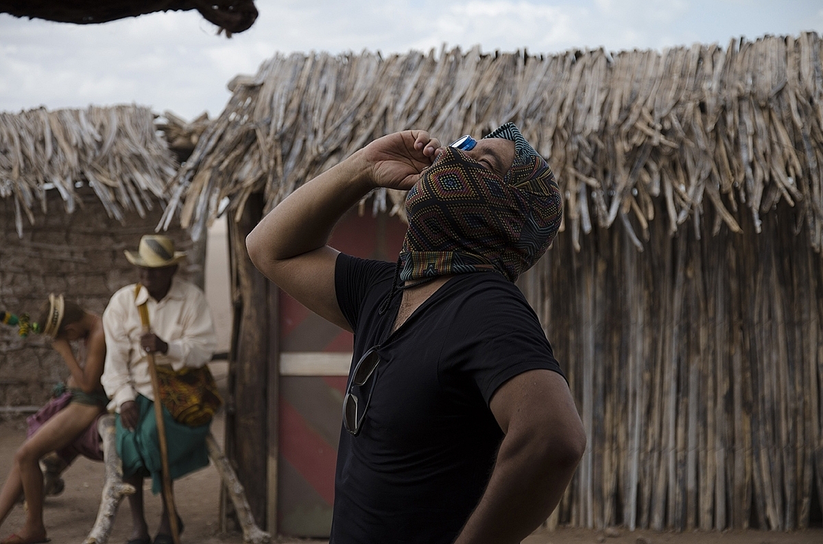 Pájaros de Verano 3