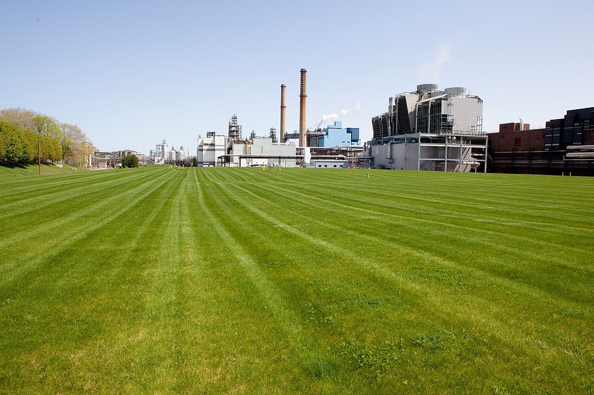 Eastman business park green lawn