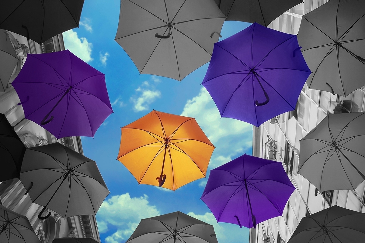 KODAK Proofing Software