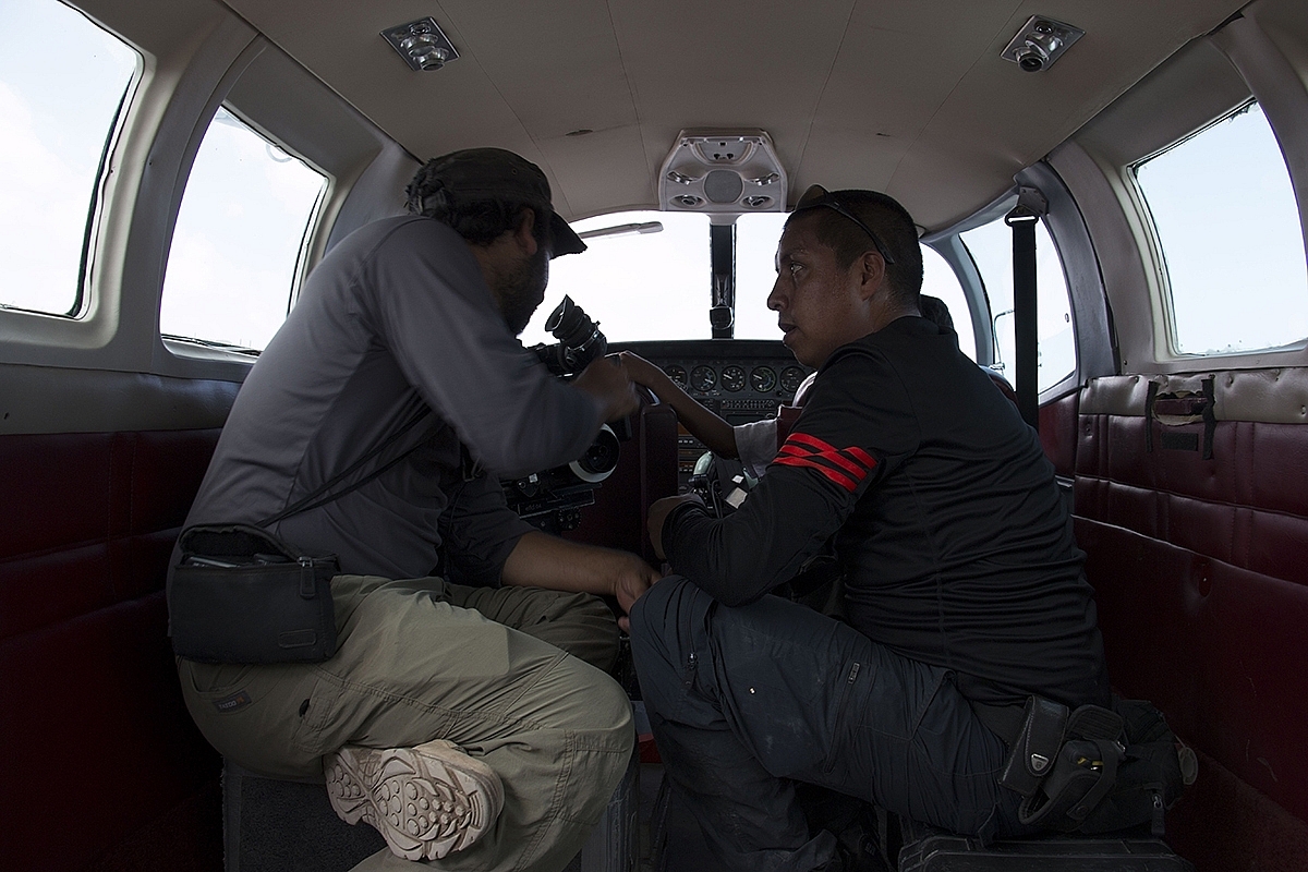 Pájaros de Verano 10