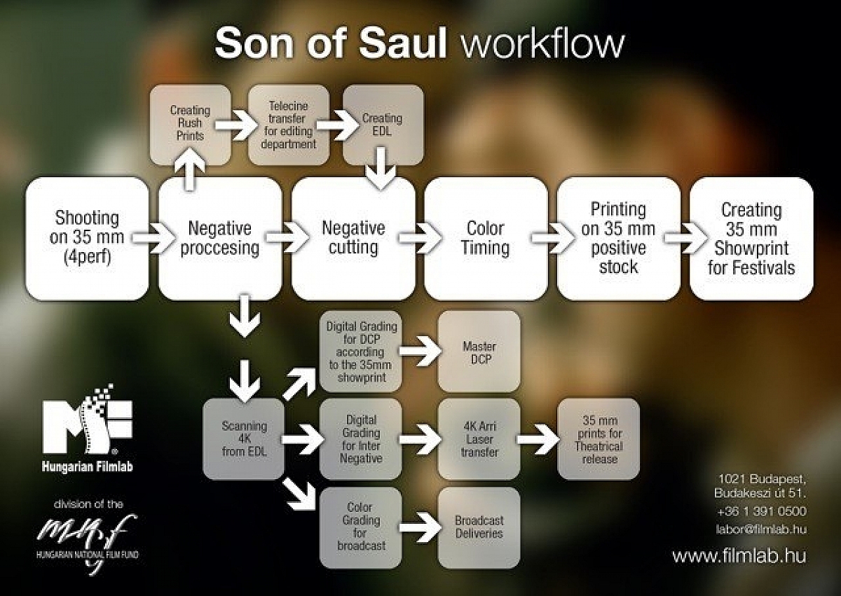 Hungarian filmlab 10