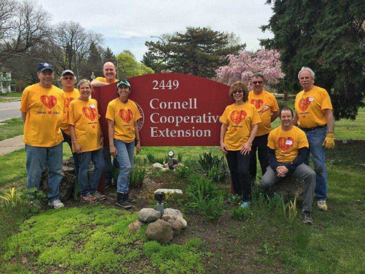 코닥 돌봄의 날 2