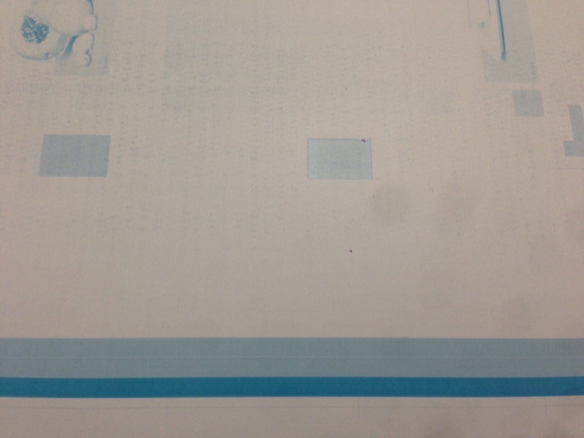 The Hidden Costs of Plate Processing 2