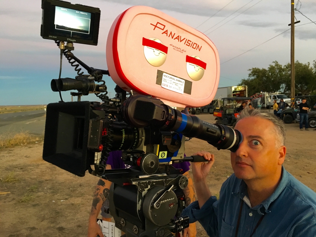 The accountant nocturnal animals and kitty 6