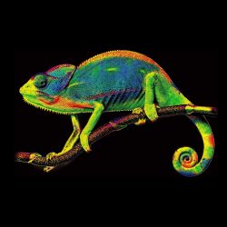 KODACOLOR chameleon thumb