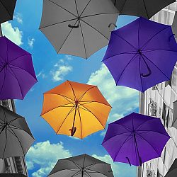 KODAK Proofing Software