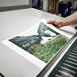 Sonora X Partners Press 1200x800