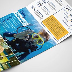 Trifold Mailer Interior Mockup 2