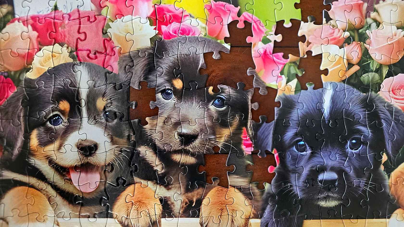 こだっく KODAK Premium Puzzles | Kodak