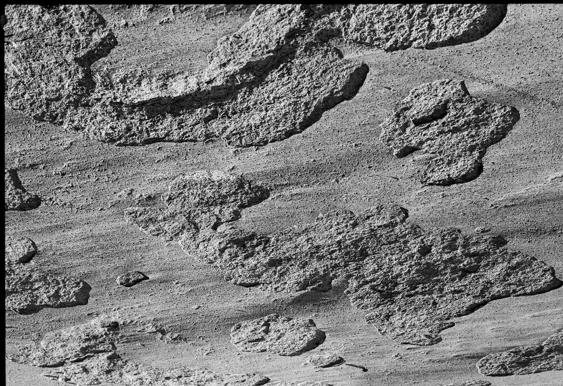 KODAK EKTAPAN Film 100 sample image - texture