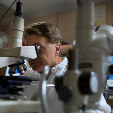 Estar hcf films worker lab microscope