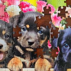 Kodak premium puzzles 3