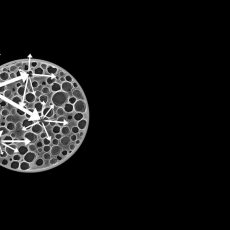 Kodalux lightblocking micro particles 1920