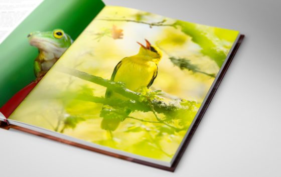 Prosper ultra 520 higher profit margin nature book