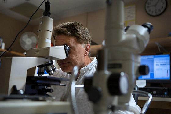 Estar hcf films worker lab microscope