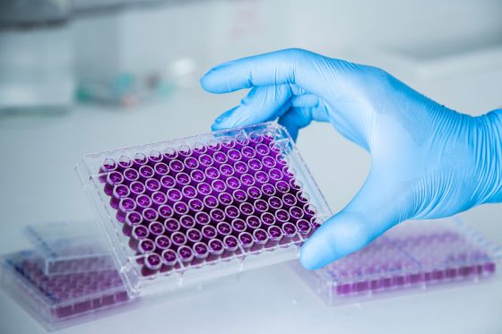 Scientist hand holding