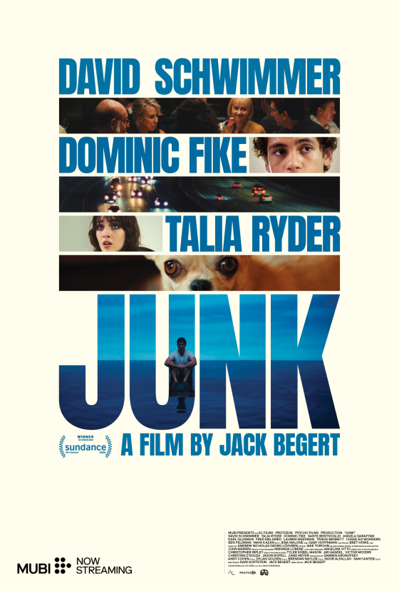 Junk poster