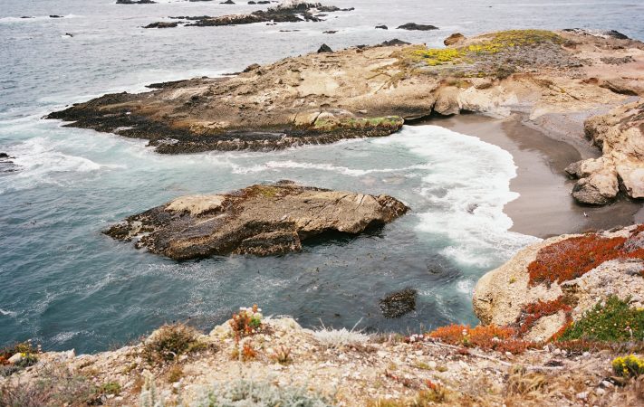 KODAK EKTACOLOR Film PRO 160 sample image - cove