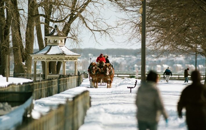 KODAK EKTACOLOR Film PRO 160 sample image - winter