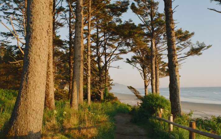 KODAK EKTACOLOR Film PRO 800 sample image - pathway