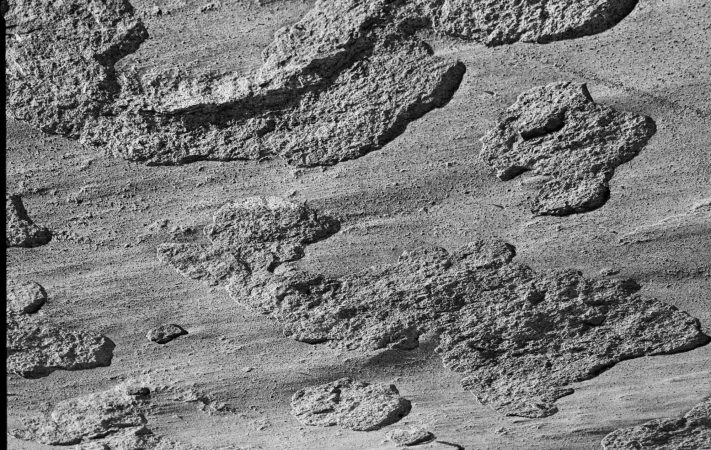 KODAK EKTAPAN Film 100 sample image - texture