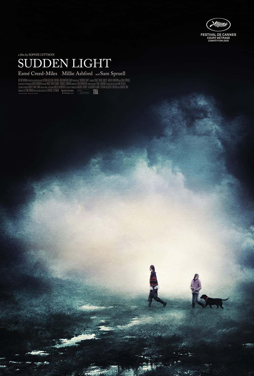 Sudden Light film poster