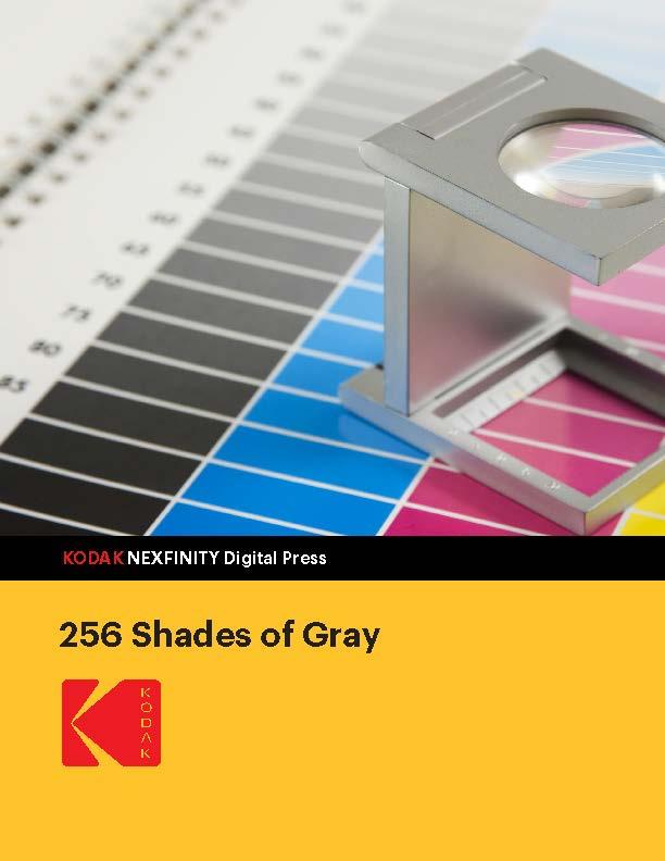 256 Shades of Gray white paper cover