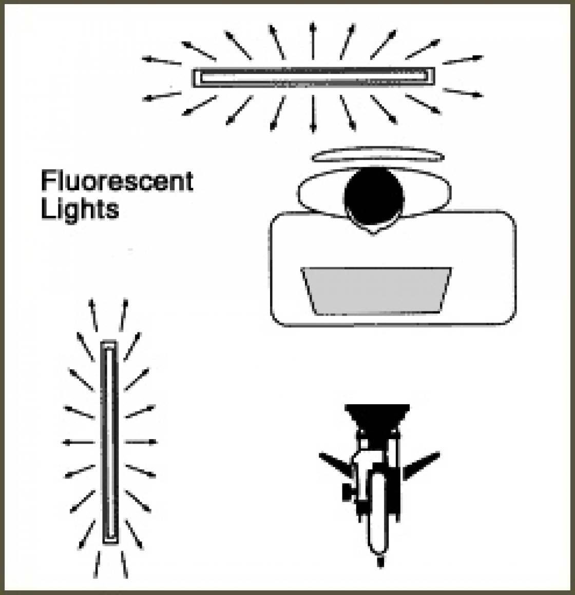 Gray Card for the Cinematographer Kodak