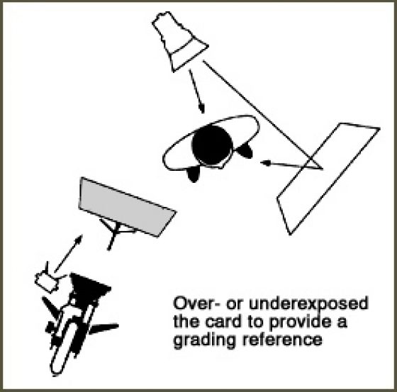 Gray card cinematographer card5