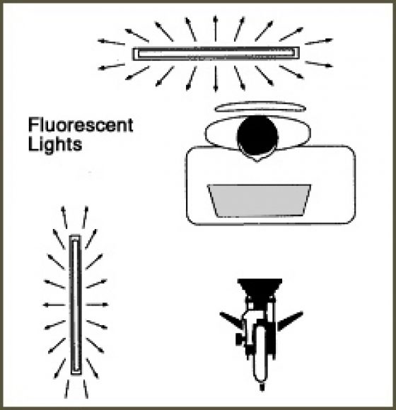 Gray card cinematographer card3