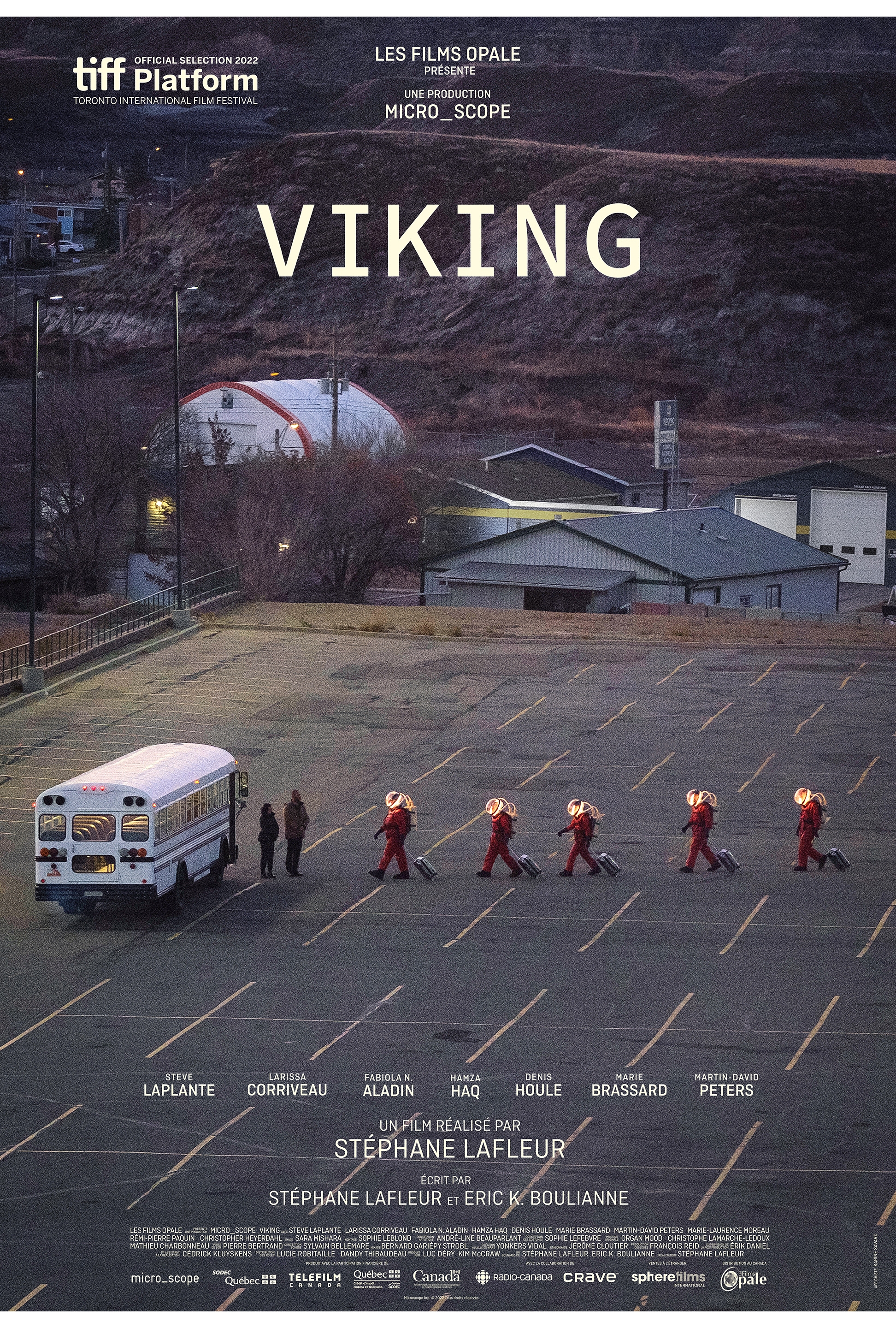 Viking film poster