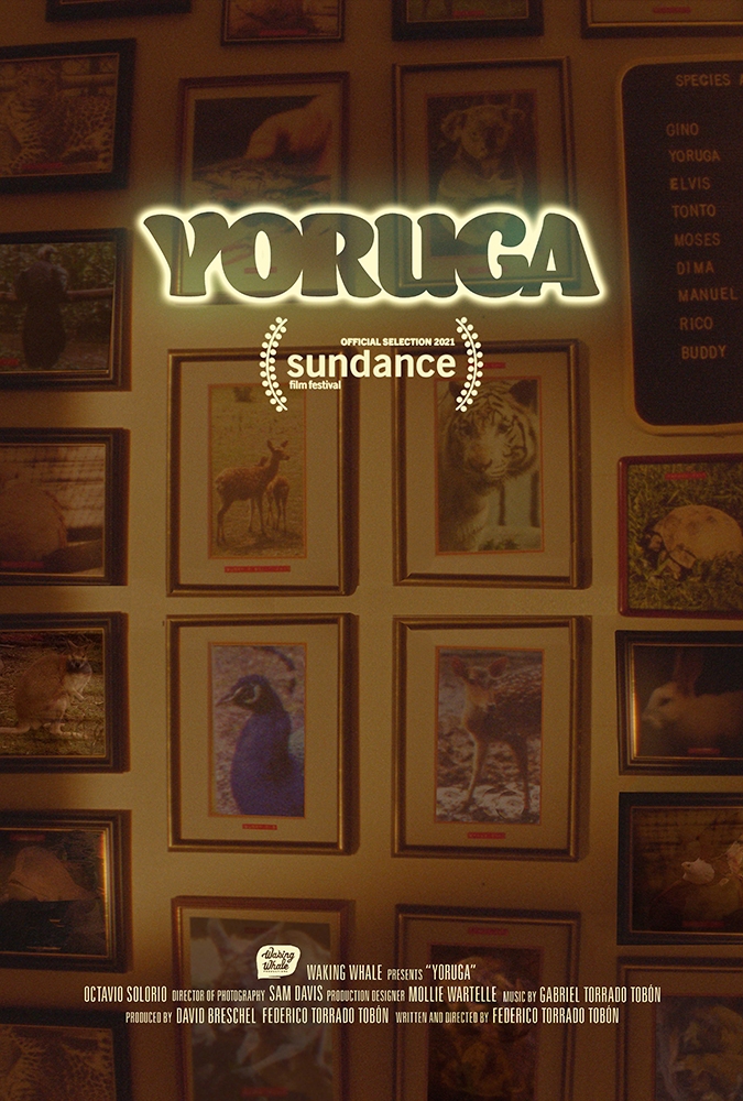 Yoruga film poster