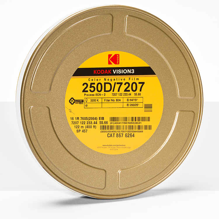 TRI-X Black & White Reversal Film 7266 | Kodak