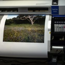 Kodak wide format printing professional photo paper